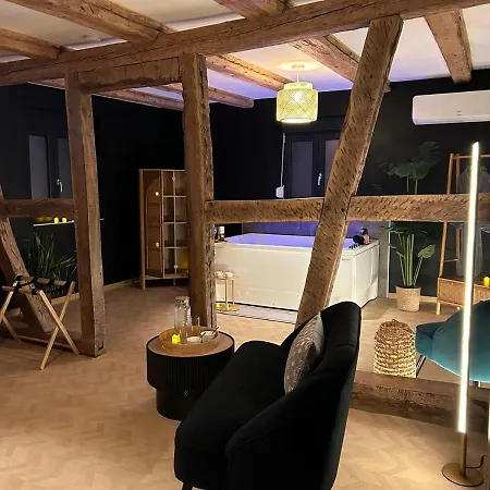Keriana Luxe Et Detente Privee En Alsace Lejlighed Muttersholtz